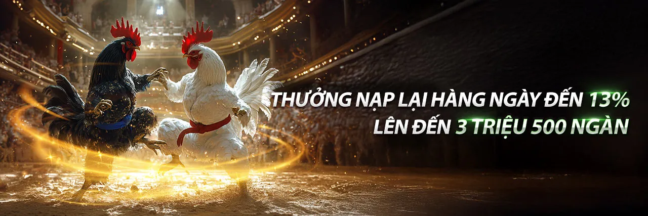 Trực Tiếp Gà Đá C1